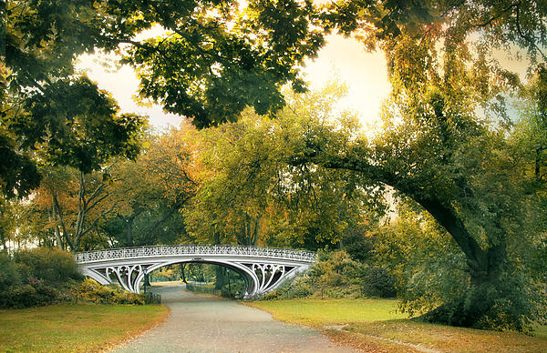 https://images.fineartamerica.com/images-medium-5/gothic-bridge-in-central-park-jessica-jenney.jpg