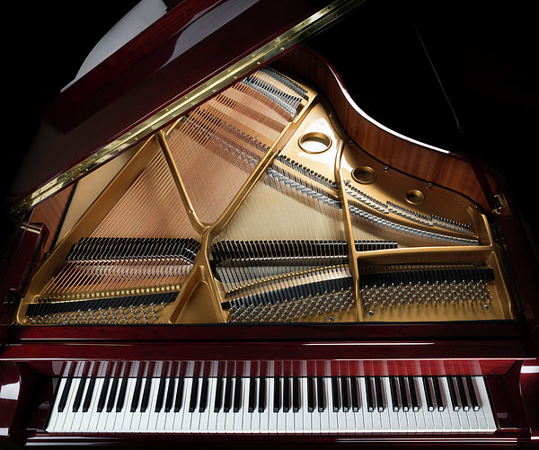 1 787 photos et images de Piano électrique - Getty Images
