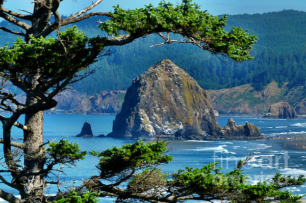 Oregon Photographs