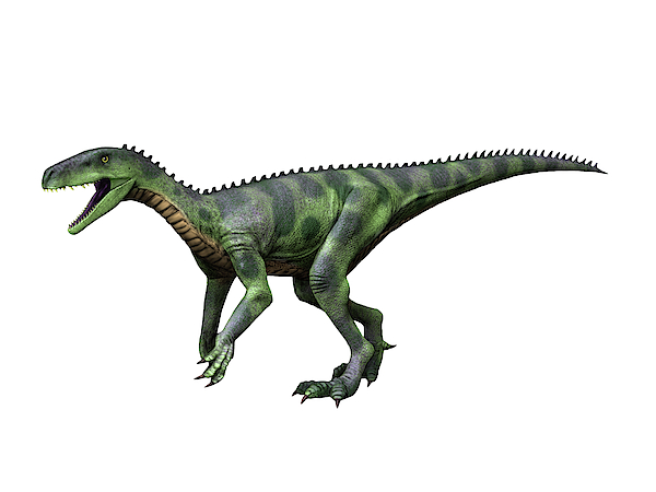 herrerasaurus size