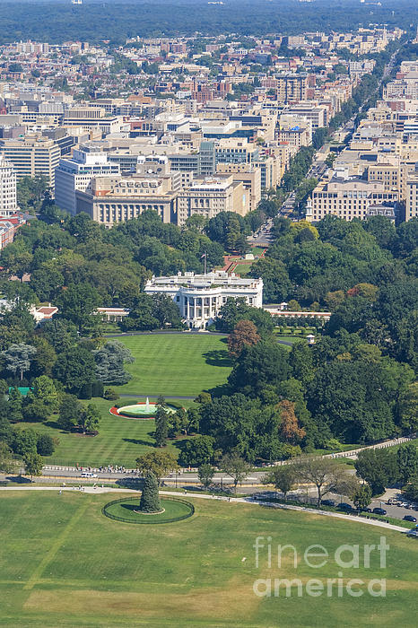 Patricia Hofmeester - High angle view of the White House in Washington