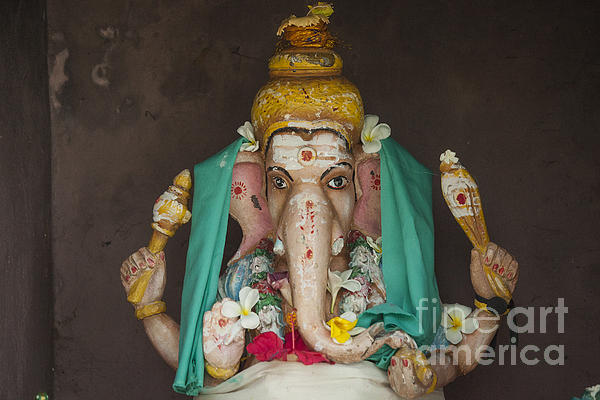 Patricia Hofmeester - Hindu god Ganesh
