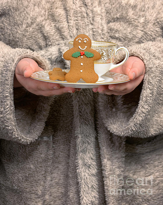 https://images.fineartamerica.com/images-medium-5/holding-gingerbread-biscuits-christopher-and-amanda-elwell.jpg