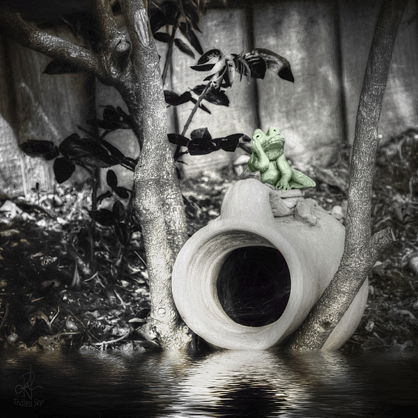 Black And White Mixed+media