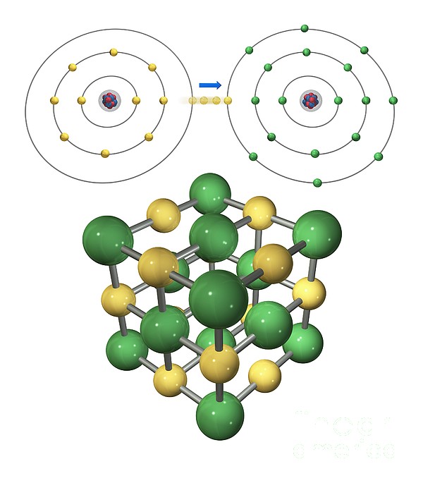 Ionic Bonding In Sodium Chloride, Artwork by Carlos Clarivan