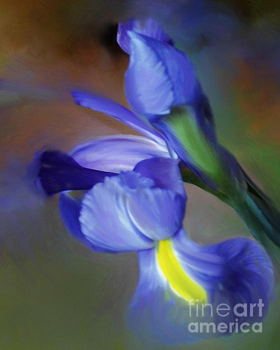 Blue Art