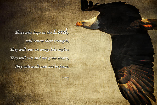 : Soar High On Wings Like Eagles Isaiah 40 31 Christian Bible T- Shirt : Clothing, Shoes & Jewelry