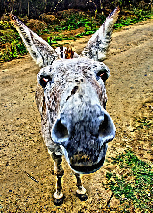 Hand Towel - Donkey