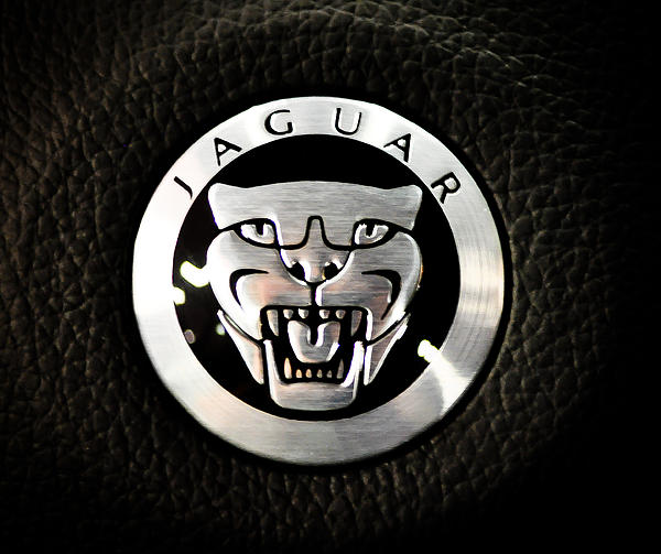 Jaguar Logo Greeting Card for Sale by Ronda Broatch