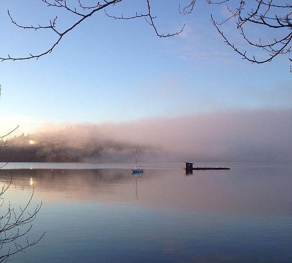 Kim Prowse - January Morning Mist