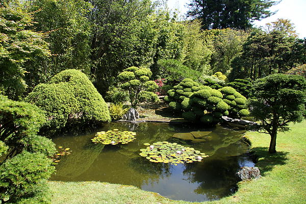 Christiane Schulze Art And Photography - Japanese Tea Garden Pond