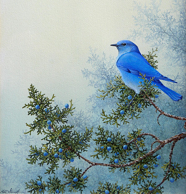 Mike Stinnett - Juniper Bluebird