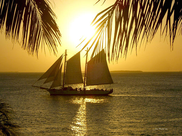 Joan  Minchak - Key West Sunset