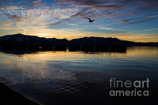 Suzanne Luft - Lake Tahoe Sunset
