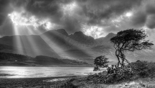 Michalakis Ppalis - Lonely tree. Landscape of the Scottish Highlands in Scotland