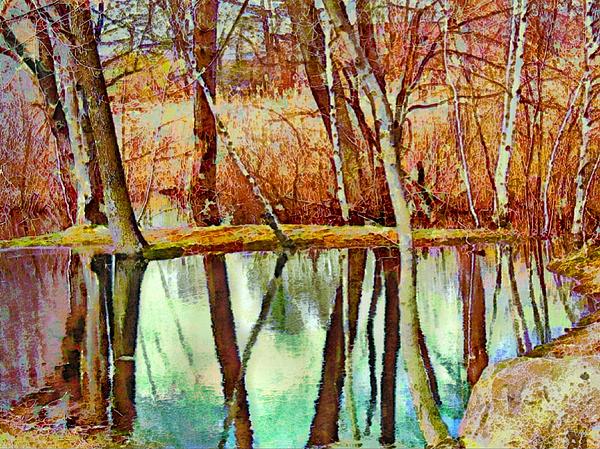 Lyn Voytershark - H Leafless Woods Reflection - Horizontal I