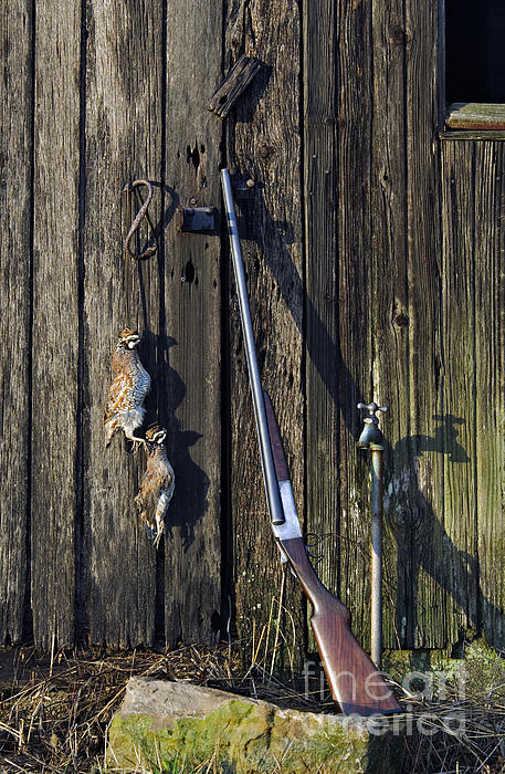lefever nitro special 12 gauge double barrel review lefever nitro special 12 gauge double barrel review