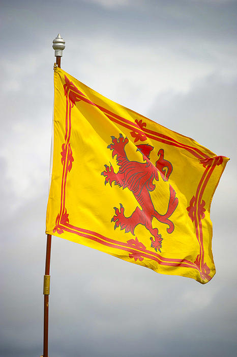 Lion Rampant Scottish Flag by Alan Oliver