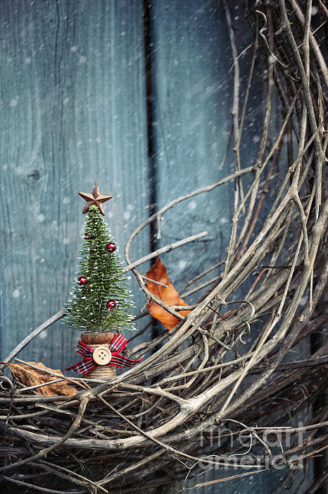 https://images.fineartamerica.com/images-medium-5/little-christmas-tree-ornament-on-wreath-sandra-cunningham.jpg