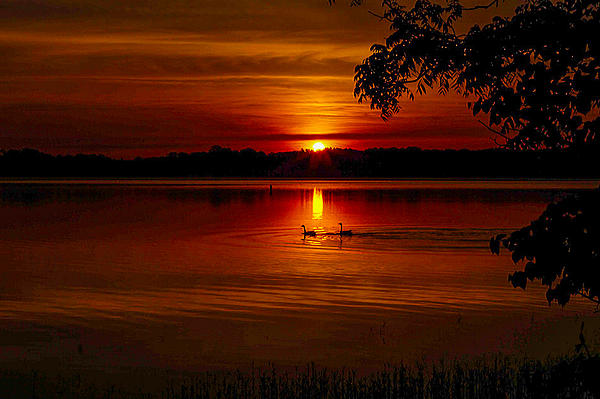 Sunrise Photographs