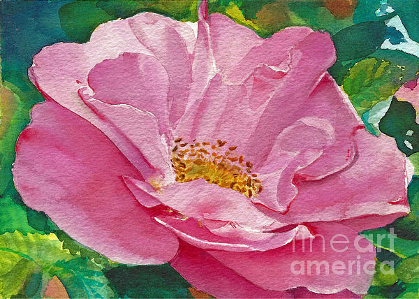 Rose Art
