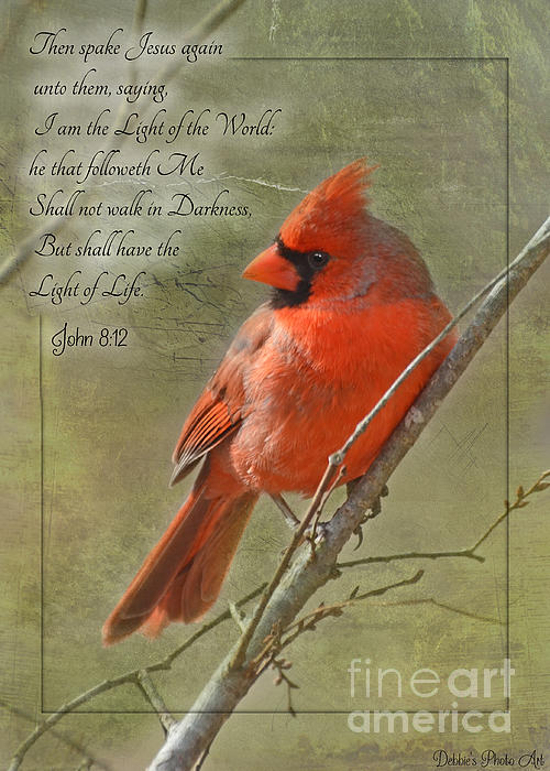 Debbie Portwood - Male Cardinal on twigs with Bible Verse