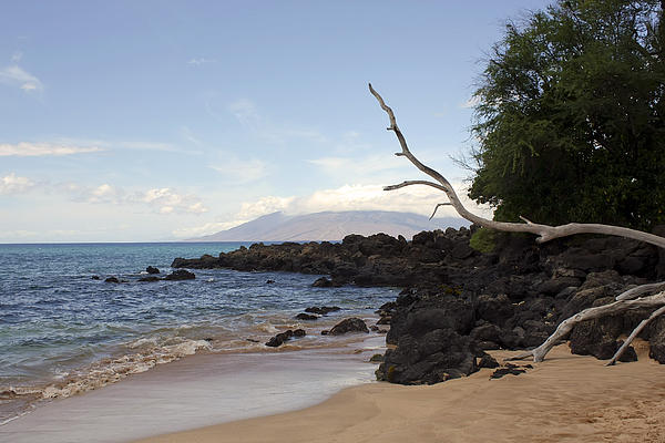 Teresa Zieba - Maluaka Beach Maui Hawaii