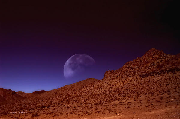 Donna Blackhall - Martian Moon
