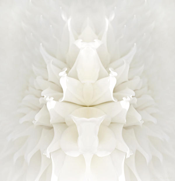 Jennie Marie Schell - Mirrored White Dahlia Flower Abstract