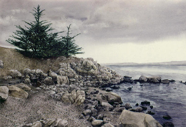 Tom Wooldridge - Monterey Pines