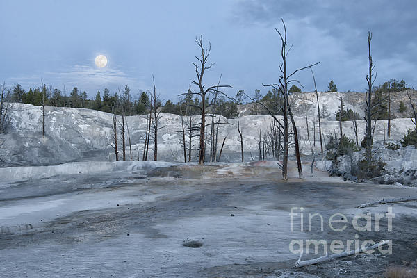 Sandra Bronstein - Moonset At Mammoth Terrace-Yellowstone
