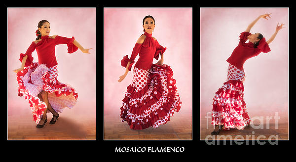 Priscilla Burgers - Mosaico Flamenco