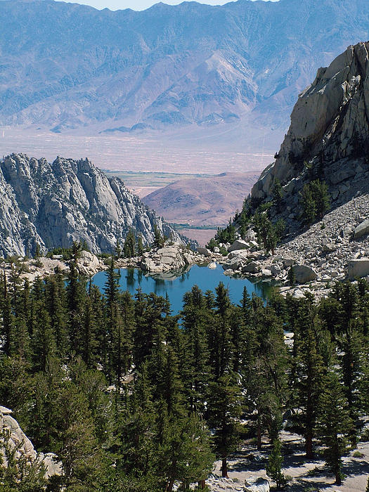 Lone Pine Thermal Mug - White — OHANA | Mountains. Beach. Adventure.