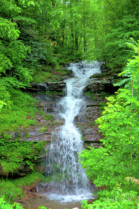 Mountain Waterfall I by Paulette B Wright