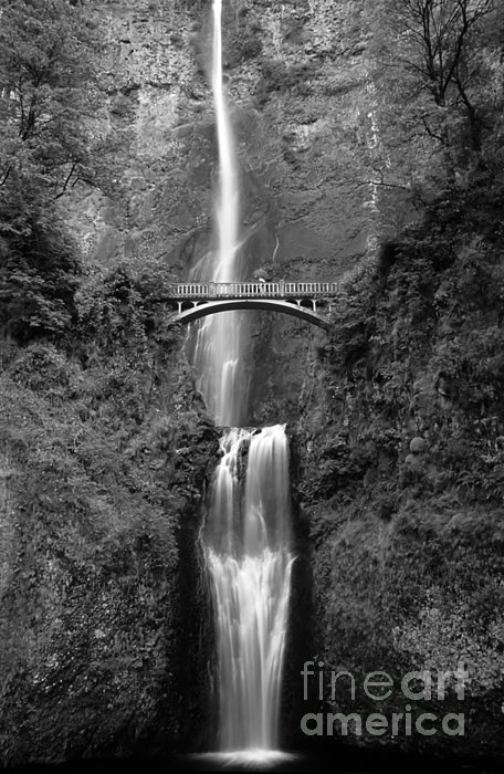 Fall Photographs