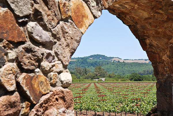 Wine Photographs