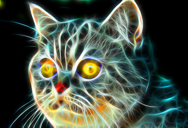Neon Kitty Portrait by Victor Gladkiy