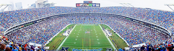 Carolina Panthers 1000-Piece NFL Stadium Panoramic Puzzle