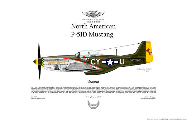 Arthur Eggers - North American P-51D Mustang Gunfighter
