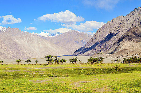 Nubra Valley Ladakh Greeting Card by Puneet Vikram Singh, Nature And  Concept Photographer