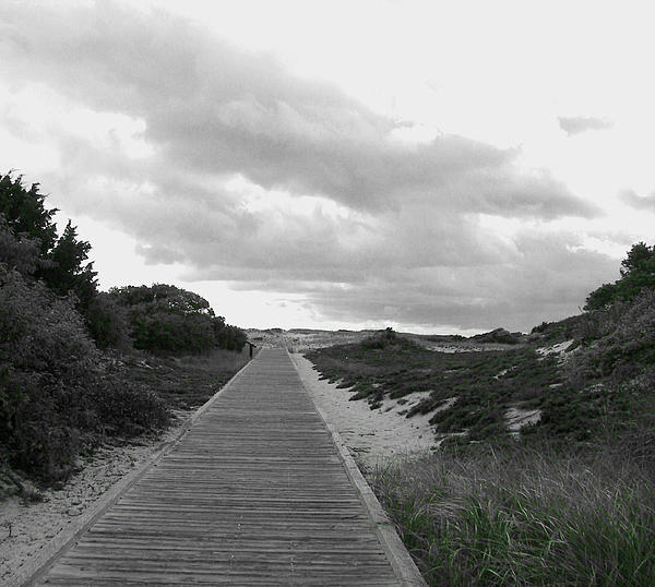 Pamela Hyde Wilson - Ocean Walk Island Beach State Park New Jersey