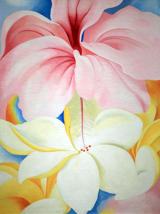 O'keeffe's Hibiscus With Plumeria by Cora Wandel