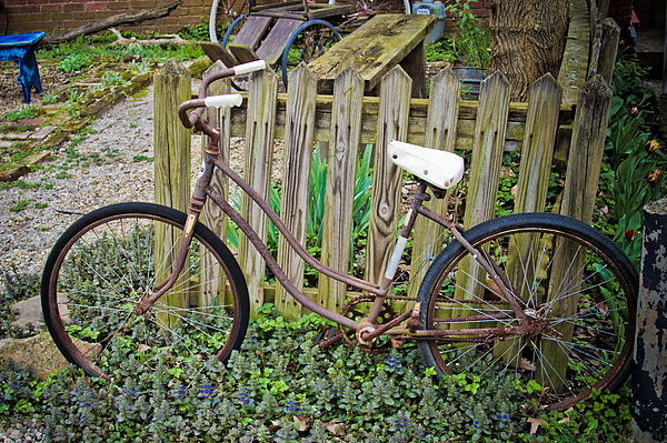 Old Bike by Daniel Houghton