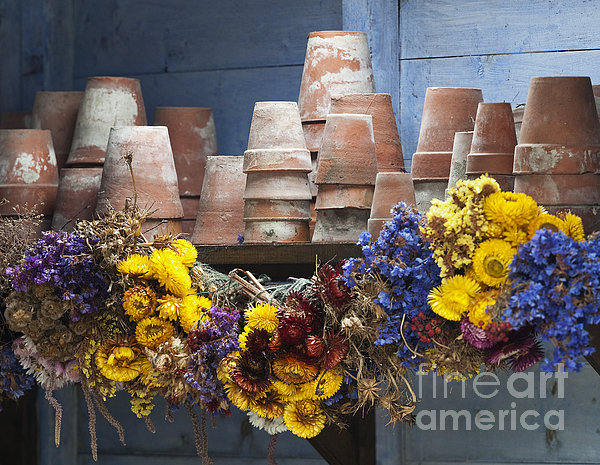 Pressed Dried Flowers Spiral Notebook by Tim Gainey - Fine Art America