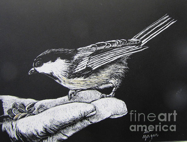 Bird Art