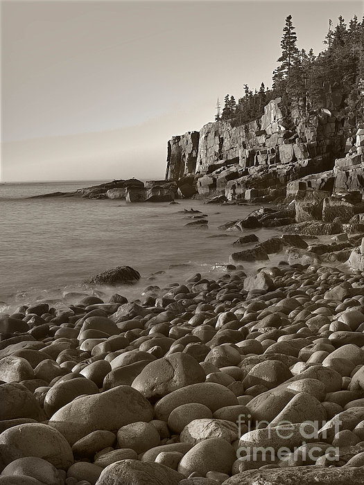 Jerry Fornarotto - Otter Cliffs Black and White