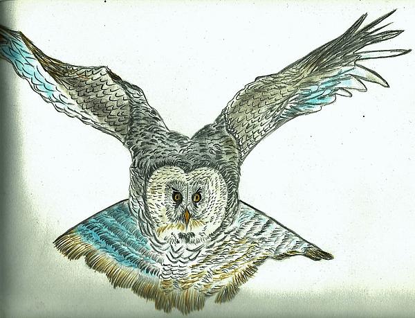 Owl Flying Away by Nicole Burrell