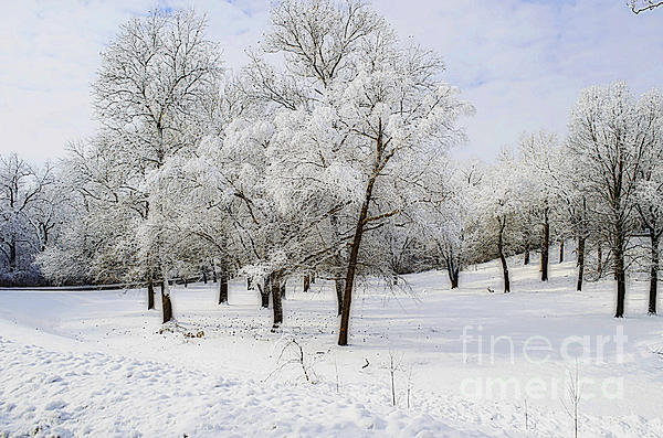 Luther Fine Art - Path of Snow