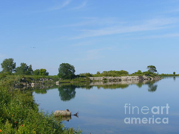 Lingfai Leung - Peaceful Water Reflection at Tommy Thompson Park