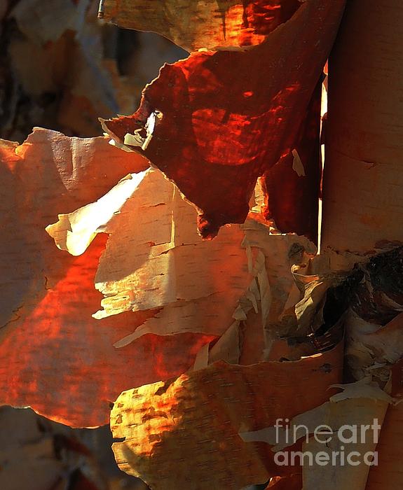 Outdoors Art